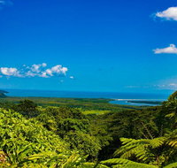 Cape Tribulation Day Tour - Holiday Find