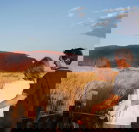 Uluru Ayers Rock Sunset with Outback Barbecue Dinner and Star Tour - Holiday Find