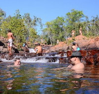 Litchfield and Jumping Crocodiles Full Day Trip from Darwin