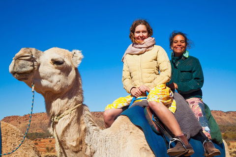 Alice Springs Camel Tour - Holiday Find 8