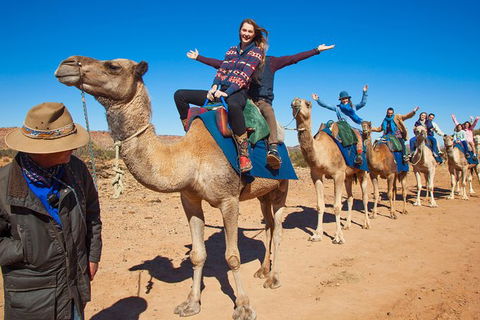 Alice Springs Camel Tour - Holiday Find 7