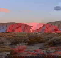 3-Day Uluru Camping Tour from Alice Springs Including Kata Tjuta and Kings Canyon - Holiday Find