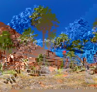 Palm Valley 4WD Tour from Alice Springs - Holiday Find