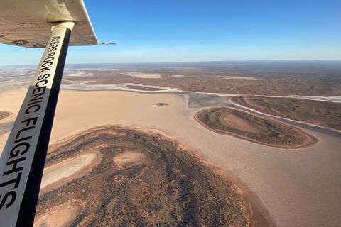 Scenic Flight: Lizard Safari - Holiday Find 3