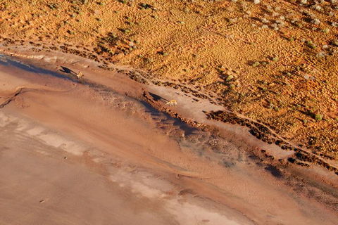 Scenic Flight: Lizard Safari - Holiday Find 4