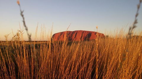 4-Day Camping Trip From Ayers Rock Including Uluru, Kata Tjuta And Kings Canyon - Holiday Find 2
