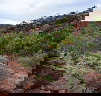 Palm Valley and Hermannsburg 1 Day 4WD Tour - Holiday Find