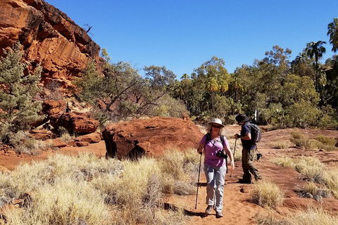 Palm Valley And Hermannsburg 1 Day 4WD Tour - Holiday Find 5