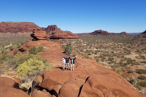 Palm Valley And Hermannsburg 1 Day 4WD Tour - Holiday Find 4