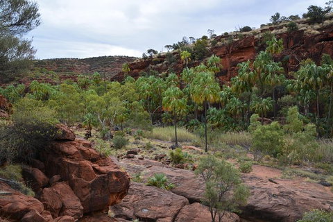 Palm Valley And Hermannsburg 1 Day 4WD Tour - Holiday Find 8