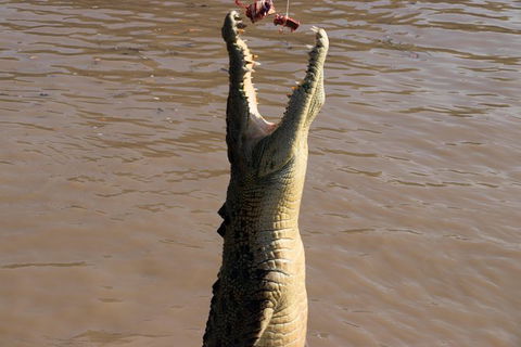 Litchfield Dreams 1 Day National Park Waterfall Swimming & Jumping Croc Cruise - Holiday Find 1