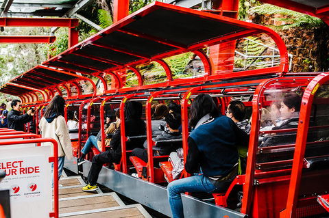 All-Inclusive Blue Mountains Day Trip With River Cruise - Holiday Find 7