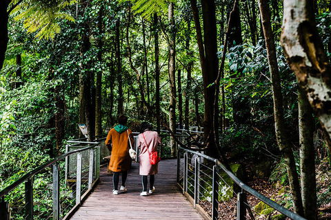 All-Inclusive Blue Mountains Day Trip With River Cruise - Holiday Find 10