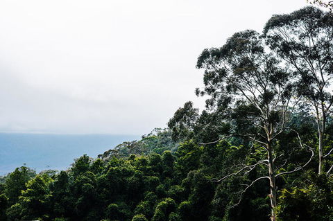 All-Inclusive Blue Mountains Day Trip With River Cruise - Holiday Find 18