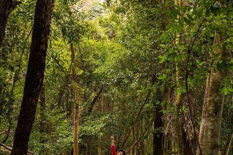 All-Inclusive Blue Mountains Day Trip With River Cruise - Holiday Find 26