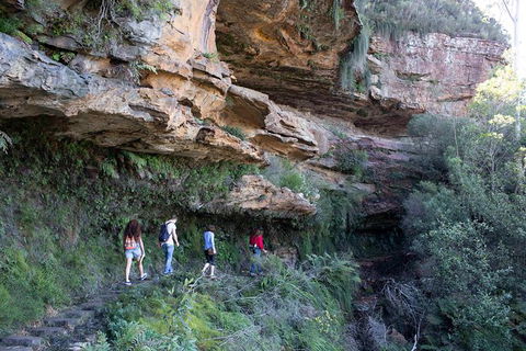 All-Inclusive Blue Mountains Day Trip With River Cruise - Holiday Find 38