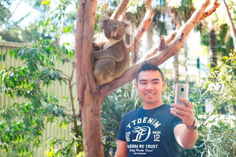 All Inclusive Full-Day Blue Mountains Trip From Sydney - Holiday Find 1