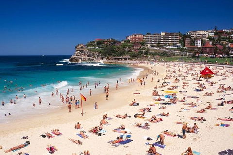 Sydney Half Day Highlights - Luxury Private Tour - Morning Or Afternoon Avail - Holiday Find 13