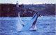 Whale Watching Sailing Experience In Sydney - thumb 1
