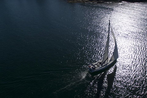 Whale Watching Sailing Experience In Sydney - Holiday Find 10