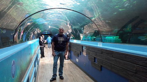 Sydney Pass: SEA LIFE Aquarium, Sydney Tower Eye, WILD LIFE Sydney, Sydney Harbour Cruise, And Madame Tussauds - Holiday Find 5