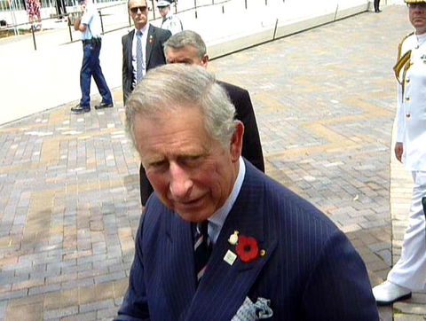 Sydney Pass: SEA LIFE Aquarium, Sydney Tower Eye, WILD LIFE Sydney, Sydney Harbour Cruise, And Madame Tussauds - Holiday Find 22