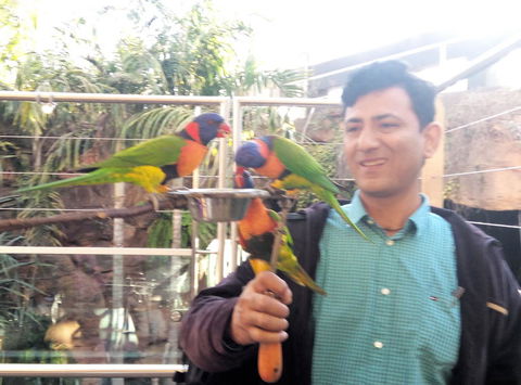 Sydney Pass: SEA LIFE Aquarium, Sydney Tower Eye, WILD LIFE Sydney, Sydney Harbour Cruise, And Madame Tussauds - Holiday Find 7