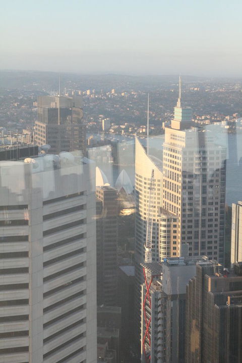 Sydney Pass: SEA LIFE Aquarium, Sydney Tower Eye, WILD LIFE Sydney, Sydney Harbour Cruise, And Madame Tussauds - Holiday Find 18