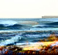 7-Day Byron Bay Evans Head and Moonee Beach Surf Safari from Brisbane Gold Coast or Byron Bay - Holiday Find