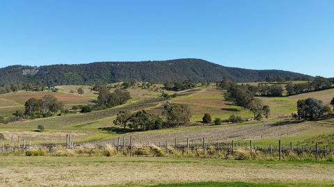 Small Group All Inclusive Hunter Valley Wine Tasting Tour From Sydney - Holiday Find 10