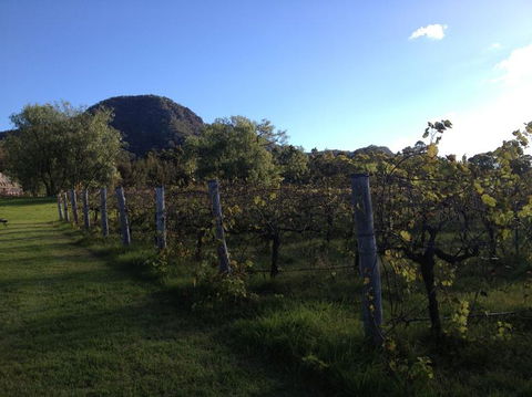 Small Group All Inclusive Hunter Valley Wine Tasting Tour From Sydney - Holiday Find 17