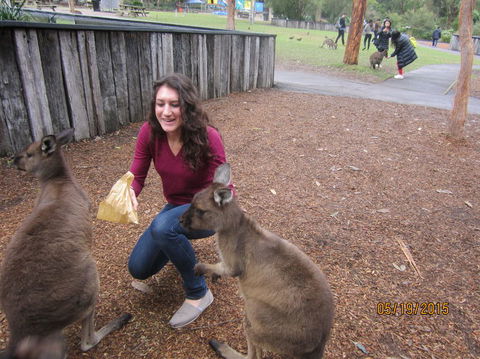 Small Group All Inclusive Hunter Valley Wine Tasting Tour From Sydney - Holiday Find 14