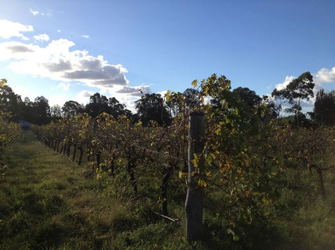 Small Group All Inclusive Hunter Valley Wine Tasting Tour From Sydney - Holiday Find 18