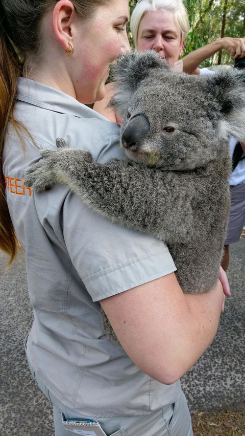 Small Group All Inclusive Hunter Valley Wine Tasting Tour From Sydney - Holiday Find 5