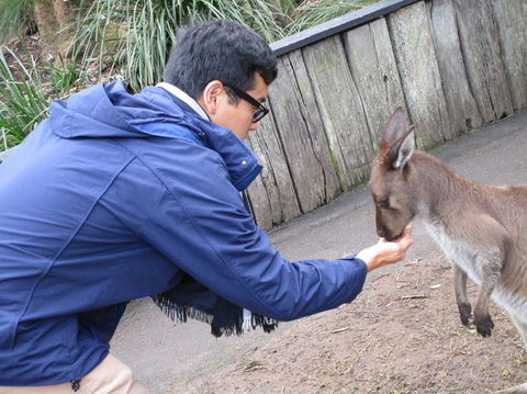 Small Group All Inclusive Hunter Valley Wine Tasting Tour From Sydney - Holiday Find 12