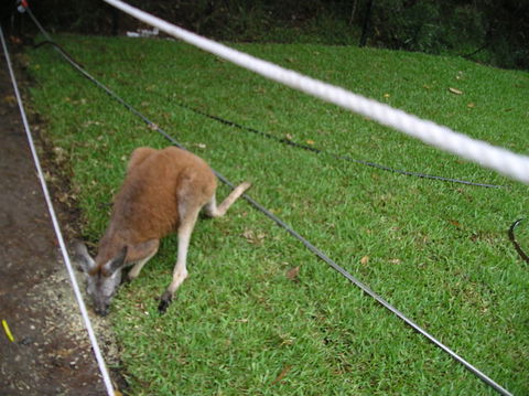 Small Group All Inclusive Hunter Valley Wine Tasting Tour From Sydney - Holiday Find 8