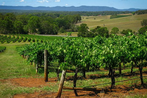 Small Group All Inclusive Hunter Valley Wine Tasting Tour From Sydney - Holiday Find 26