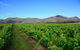 Small Group All Inclusive Hunter Valley Wine Tasting Tour From Sydney - thumb 28