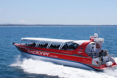 Whale Watching Jervis Bay - Holiday Find 1