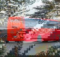 SkyBus Byron Bay Express - Holiday Find