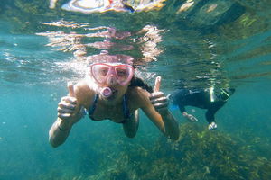 Manly Snorkel Trip and Nature Walk with Local Guide
