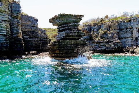 Jervis Bay Passage Tour - Holiday Find 15