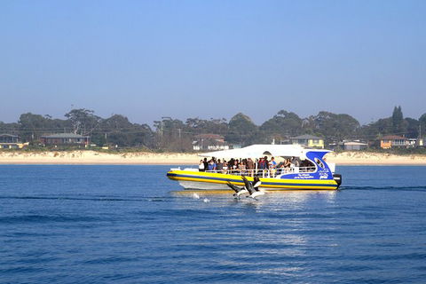 Jervis Bay Passage Tour - Holiday Find 16
