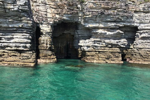 Jervis Bay Passage Tour - Holiday Find 13
