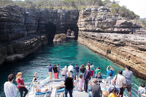 Jervis Bay Passage Tour - Holiday Find 3