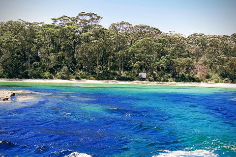 Jervis Bay Passage Tour - Holiday Find 6