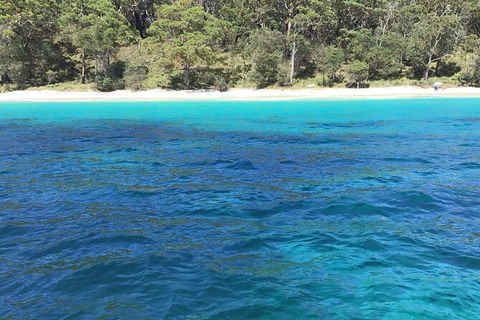Jervis Bay Passage Tour - Holiday Find 5