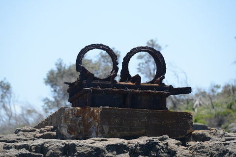 Jervis Bay Passage Tour - Holiday Find 4