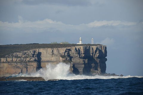 Jervis Bay Passage Tour - Holiday Find 8