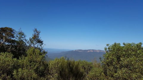 Blue Mountains Wildlife Full-Day Sights And Hiking From Sydney - Holiday Find 5